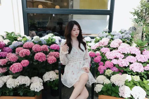 C288