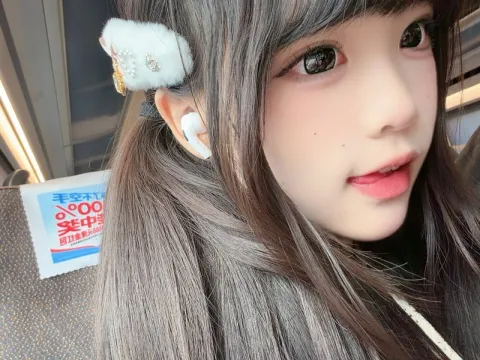 H323
